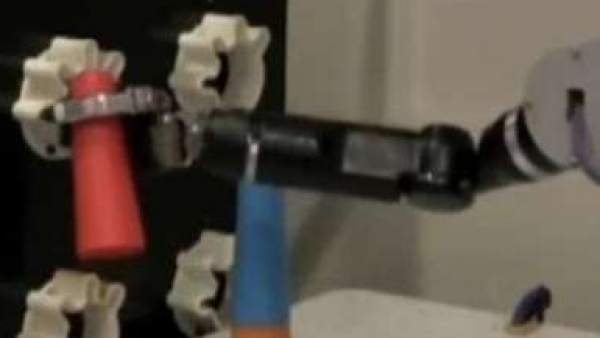 Brazo robótico Brazo robótico