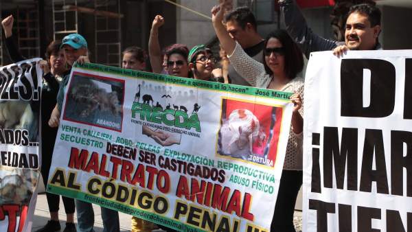 Defensores derechos animales Defensores derechos animales