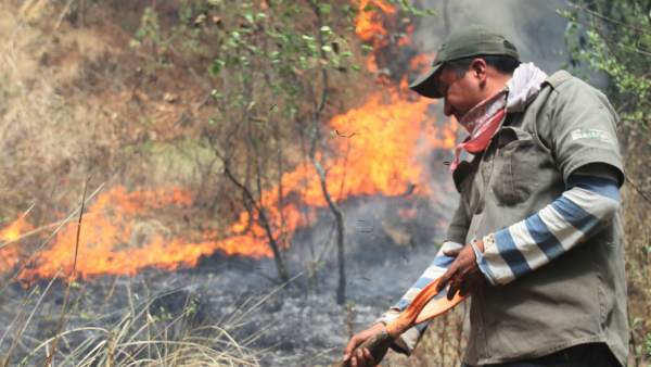 Incencio en Tlaxcala Incencio en Tlaxcala