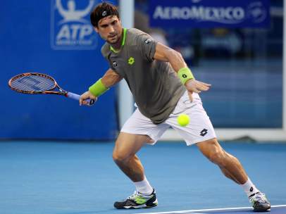 David Ferrer
